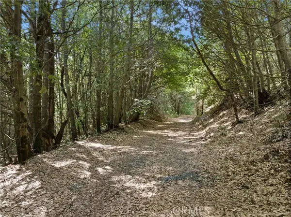 63 Binet Road, Clipper Mills, CA 95930