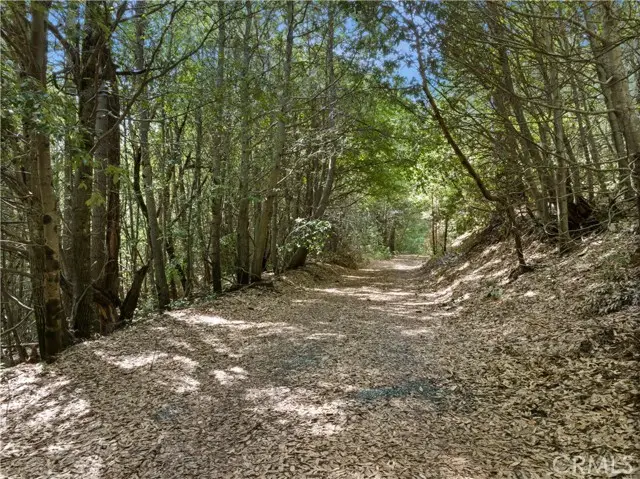 63 Binet Road, Clipper Mills, CA 95930 - Image #3