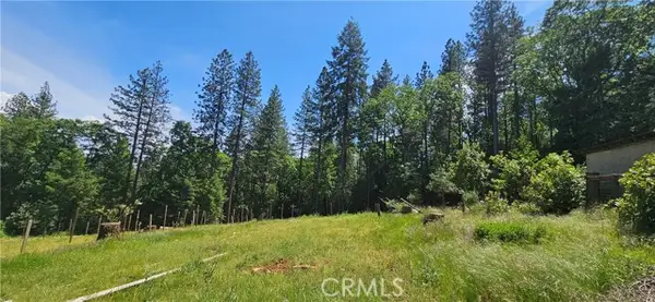 0 Little Bend Circle, Yankee Hill, CA 95965