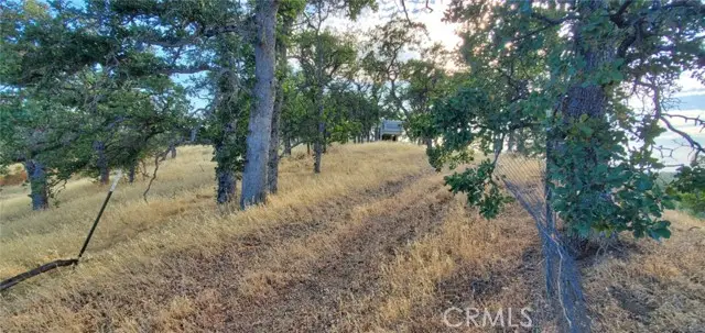 6915 Remunda Road, Corning, CA 96021 - #2