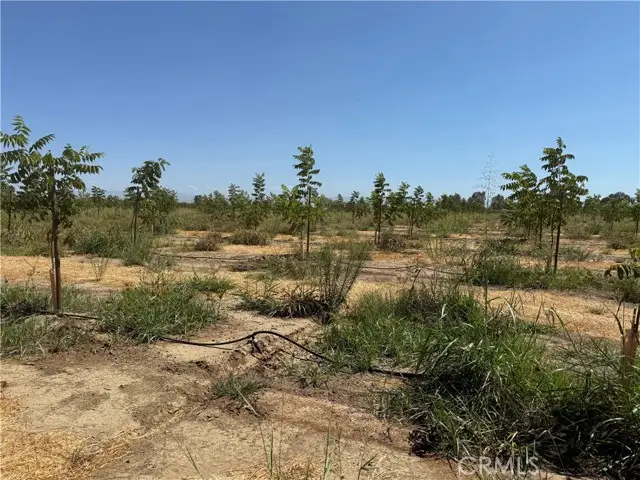 0 Mary Ave, Corning, CA 96021 - #1