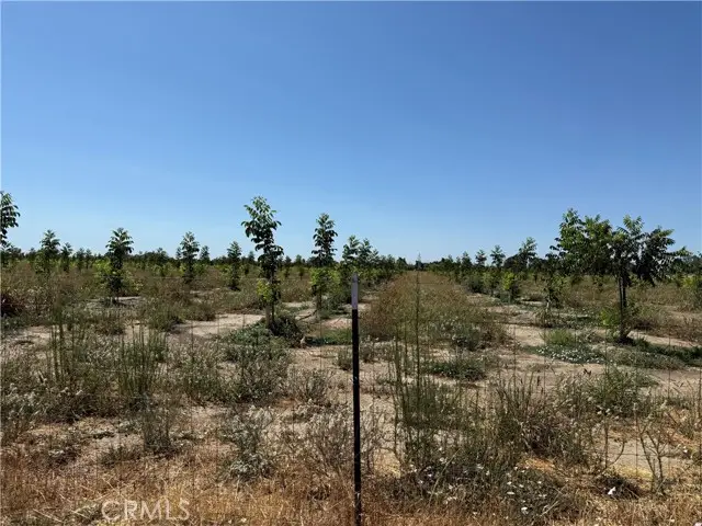 0 Loleta, Corning, CA 96021 - #1