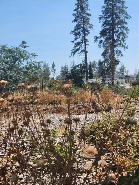 420 Simpson Ranch Road, Berry Creek, CA 95916