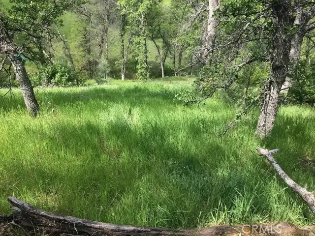 16368 Lariat, Corning, CA 96021 - #1