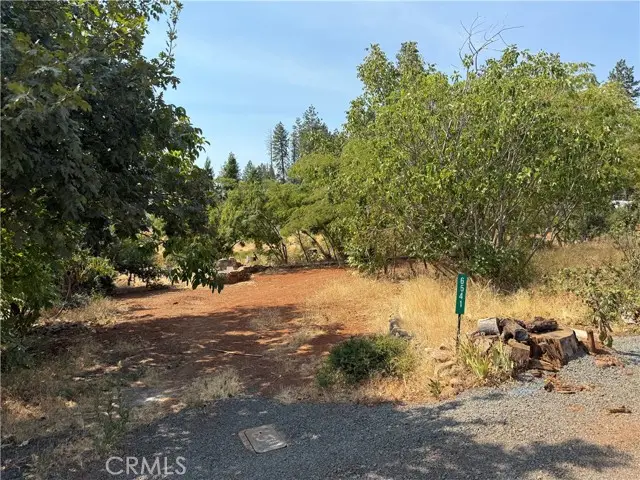 6541 Wheeler Road, Paradise, CA 95969 - #2