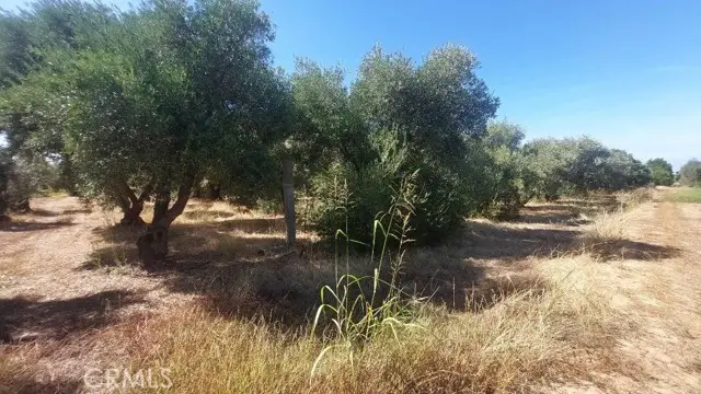 0 Finnell Avenue, Corning, CA 96021 - Image #2