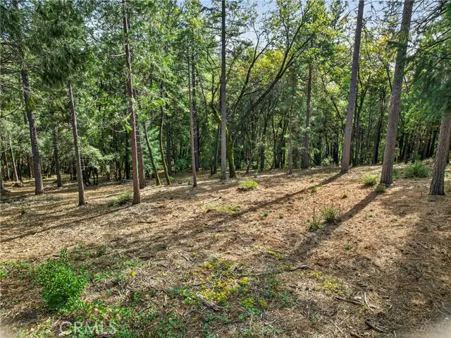 0 Cedar Creek, Forest Ranch, CA 95942 - Image #2