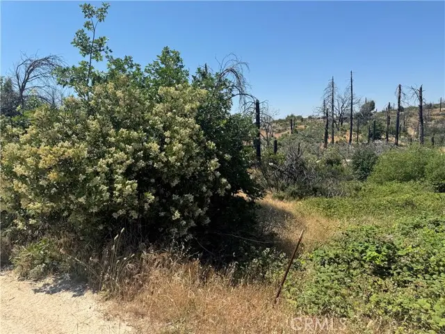 0 Sierra View, Berry Creek, CA 95916 - #3