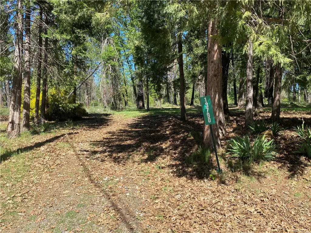 13790 Curtis Court, Magalia, CA 95954 - #1