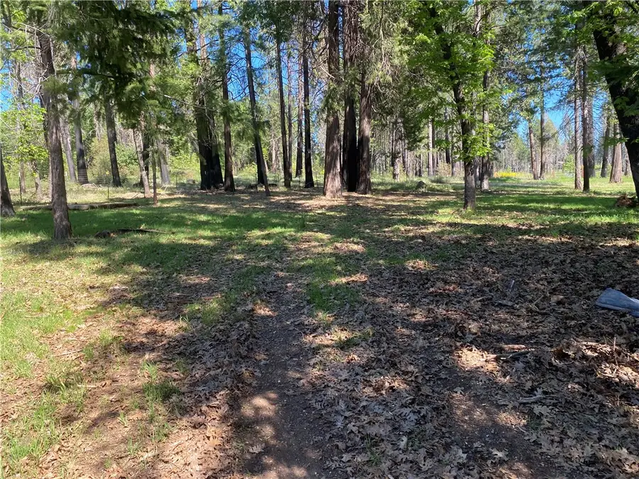 13790 Curtis Court, Magalia, CA 95954 - #3