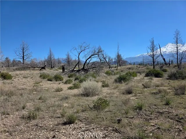 34 Blk 43 Lot 34 Heinzelman Dr., Montague, CA 96064 - #1