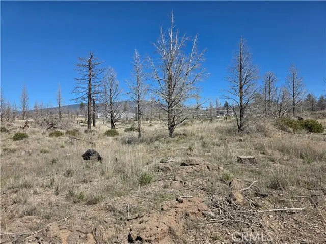 34 Blk 43 Lot 34 Heinzelman Dr., Montague, CA 96064 - #2