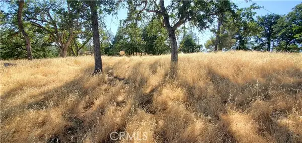 15687 Stagecoach, Corning, CA 96021