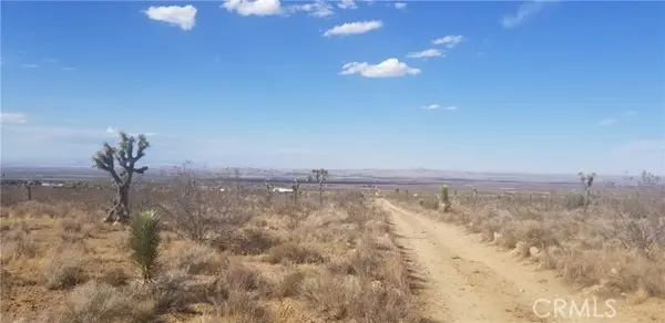 0 Vac/175 Ste/vic Ft Tejon Road, Llano, CA 93544