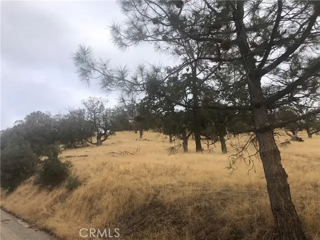 0 Matterhorn, Tehachapi, CA 93561 - #2