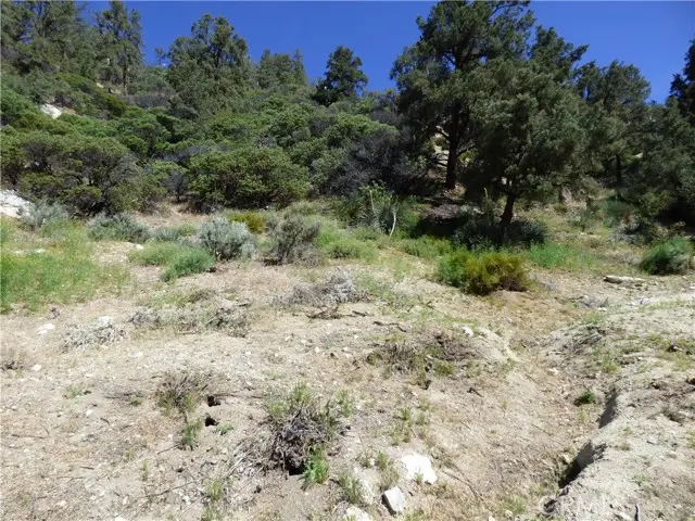 0 Escolon Trail, Frazier Park, CA 93225 - Image #3