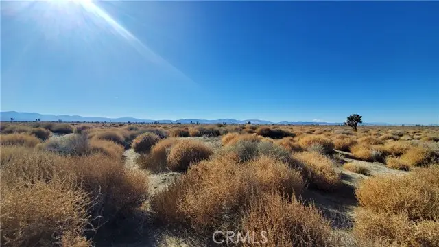 0 Vicinity Avenue L2 & 77th East Street, North Antelope Valley, CA 93535 - #2