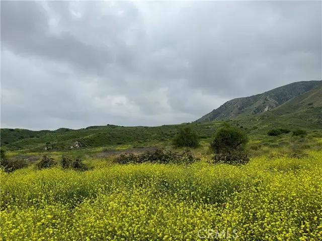 11275 Hadler Drive, Kagel Canyon, CA 91342 - Image #2