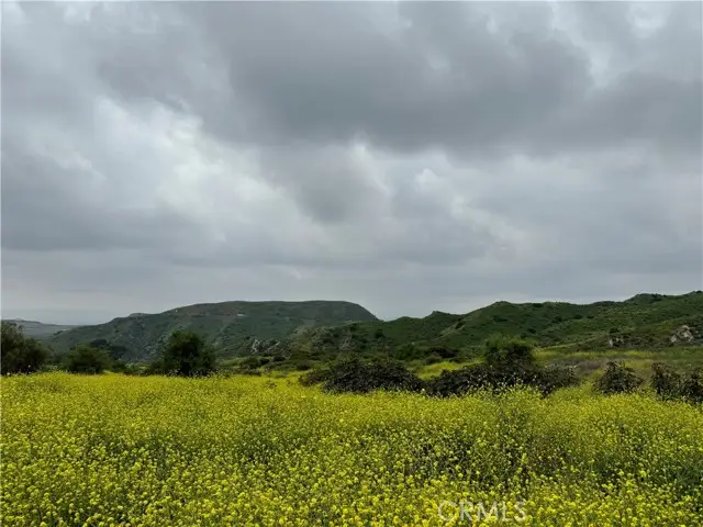 11275 Hadler Drive, Kagel Canyon, CA 91342 - Image #3