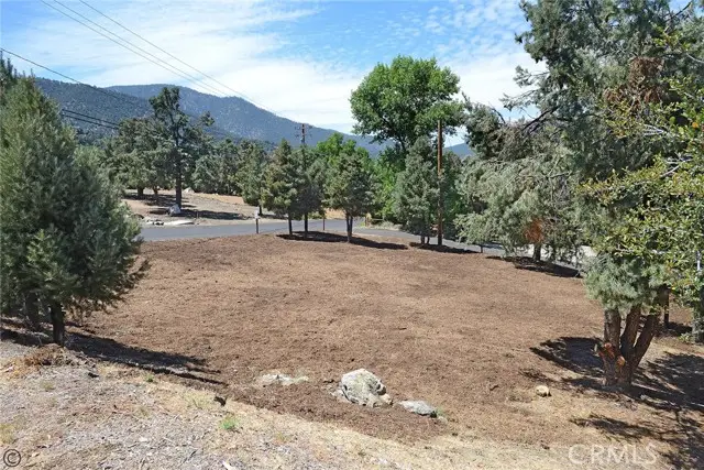2029 St Bernard Drive, Pine Mountain Club, CA 93222 - Image #2