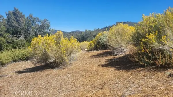 1806 Zermatt, Pine Mtn Club, CA 93222