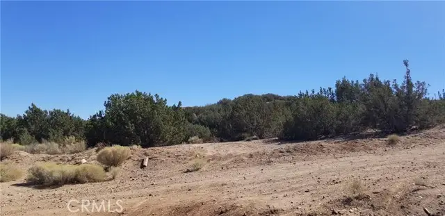 0 Desert Springs Av Fw, Palmdale, CA 93551 - #2