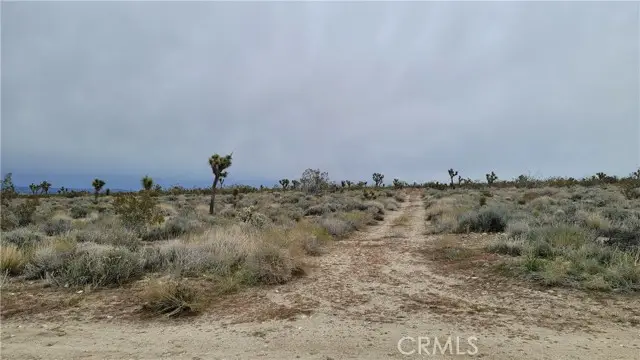 0 202nd St E & Ave X4, Llano, CA 93544 - Image #3