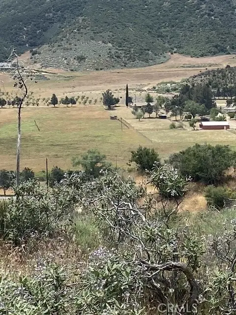 11039 Elizabeth Lake Road, Palmdale, CA 93551 - Image #3