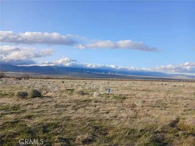 26600 W 266th Street, Lancaster, CA 93536 - #3