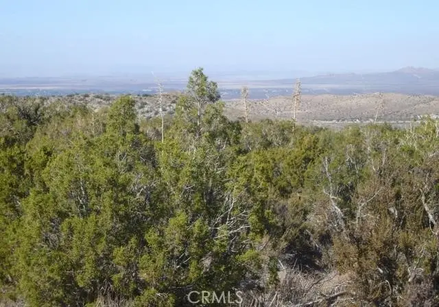 1 E Avenue Z2/118 Ste, South Antelope Valley, CA 93543 - Image #2