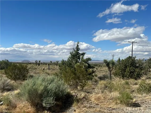 0 263rd Street, Llano, CA 93544 - Image #3