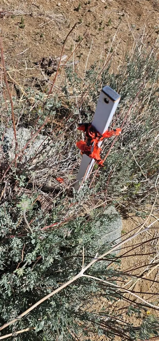 0 98th Street, South Antelope Valley, CA 93543 - Image #2