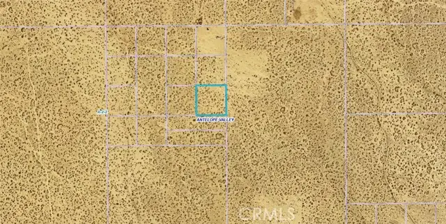 0 E Vic Ave S10, Llano, CA 93591 - #3