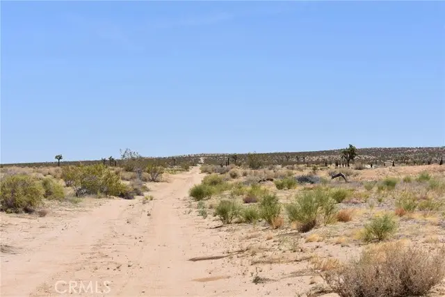 15500 Ave F8, Lancaster, CA 93535 - #2