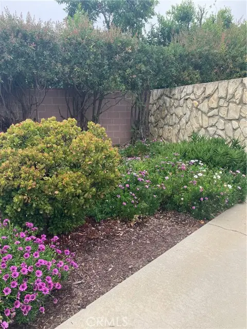 6914 Andasol Avenue, Van Nuys, CA 91406 - Image #3