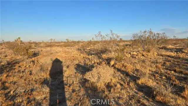 0 Avenue U4 & 257th St E, Llano, CA 93544 - Image #3