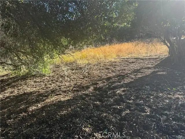 0 Paradise Lane, Topanga, CA 90290 - Image #3