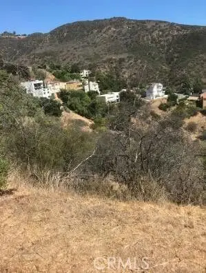 1 Latigo Cyn & Ocean View, Malibu, CA 90265 - #1