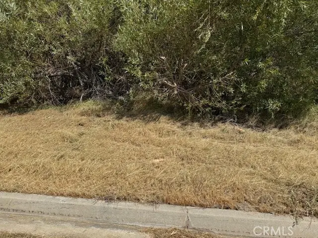 1 Vac/kiptree Dr/vic Deerbank, Elizabeth Lake, CA 93532 - Image #3