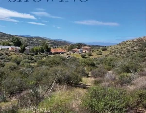 0 Davenport/woolsey Way Way, Agua Dulce, CA 91390