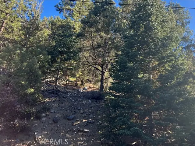 15028 Chestnut, Pine Mountain Club, CA 93222 - Image #1