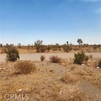 1595 La Mesa Road, Pinon Hills, CA 92372 - Image #1