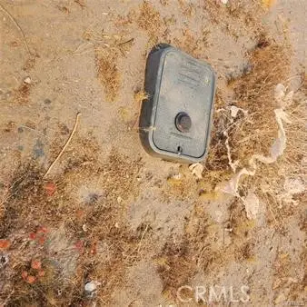 1595 La Mesa Road, Pinon Hills, CA 92372 - Image #3