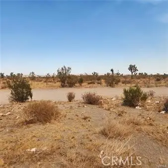 1590 Saratoga Road, Pinon Hills, CA 92372 - #1