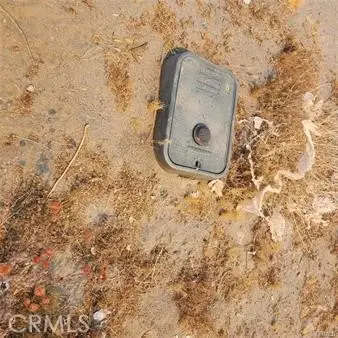 1590 Saratoga Road, Pinon Hills, CA 92372 - #3