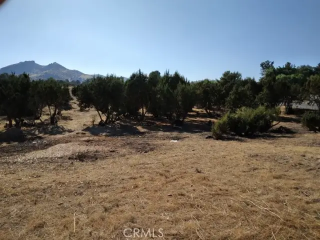 0 Agua Dulce Canyon, Agua Dulce, CA 91350 - #2