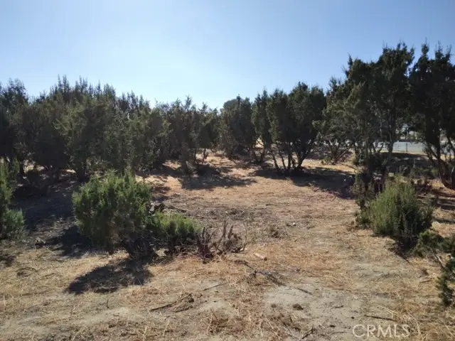 0 Agua Dulce Canyon, Agua Dulce, CA 91350 - #3