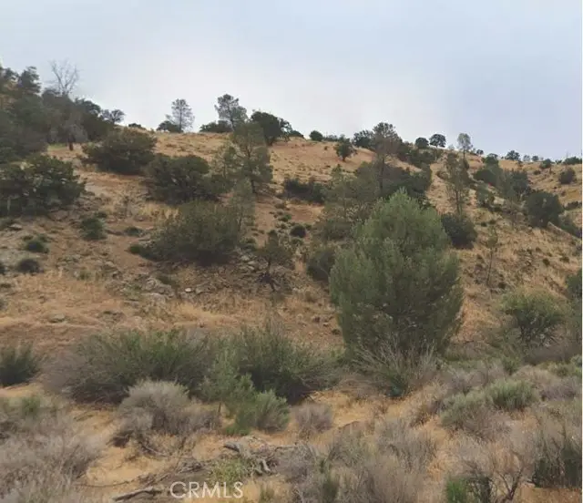 35000 Sand Canyon Road, Caliente, CA 93518 - #1