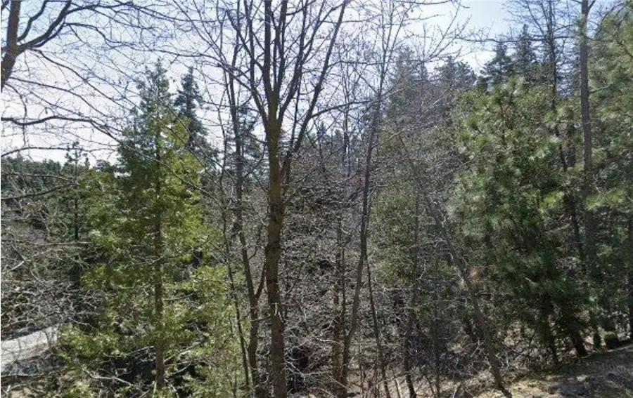 23657 Lo Ln, Twin Peaks, CA 92391 - Image #2