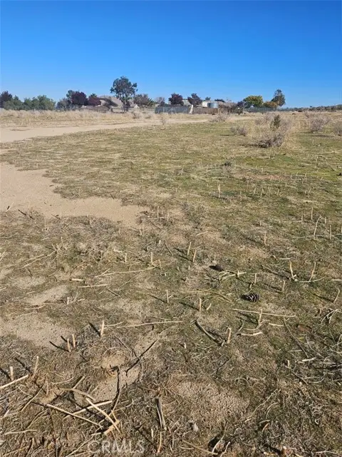 0 111 Ste Drt Vic V14 Ste, Pearblossom, CA 93553